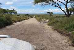 Leere Straße in die Serengeti &copy; Foto: Debbie Bachmann | Wilkinson Tours