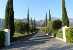Zufahrt zum Anwesen des Grande Provence Weinguts, Wine Tram Franschhoek &copy; Foto: Doreen Krausche | Outback Africa