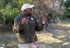 Schmuck aus Seerosen, Nxamaseri Island Lodge &copy; Foto: Susanne Schlesinger | Outback Africa
