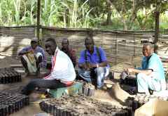 Team der Baumschule des Chintheche Inn &copy; Foto: Svenja Penzel | Outback Africa