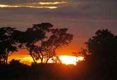 Sonnenaufgang im Okavango-Delta &copy; Foto: Robert Schlesinger