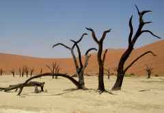 Tote Bäume im Dead Vlei &copy; Foto: Susanne Schlesinger | Outback Africa