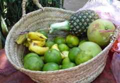 Frisch geernte Früchte &copy; Foto: Angelika Krüger | Outback Africa