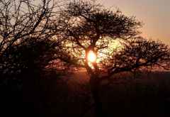 Black Rhino Lodge, Sundowner &copy; Foto: Jens Doering | Outback Africa