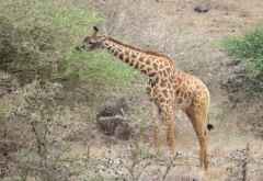 Olpopongi &copy; Foto: © Foto: S. Schlesinger |  Outback Africa Erlebnisreisen