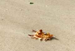 Liegen lassen! &copy; Foto: Svenja Penzel | Outback Africa