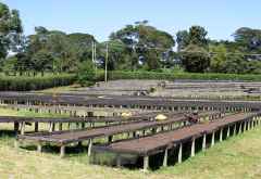 Kilimanjaro Plantation Ltd, Moshi &copy; Foto: S.Schlesinger