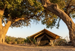 Zambezi Expeditions Camp, Zelt &copy; Foto: Marco Penzel | Outback Africa