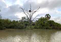 Am wasserreichen Siwandu-See, Nyerere Nationalpark, Südtansania &copy; Foto: Justine Retzar | Outback Africa Erlebnisreisen