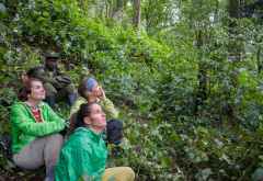Gorilla-Tracking im Bwindi Nationalpark, Uganda &copy; Foto: Marco Penzel | Outback Africa
