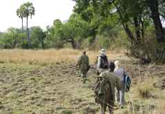 Pirschwanderung im Island Bush Camp. © Foto: Marco Penzel | Outback Africa