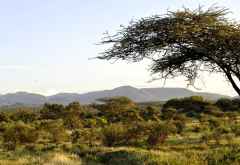 Samburu Game Reserve &copy; Foto: Svenja Penzel | Outback Africa