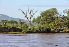 Samburu Game Reserve, Ewaso Nyiro River &copy; Foto: Svenja Penzel | Outback Africa