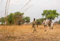 Pirschwanderung mit Gavin Opie Safaris &copy; Foto: Marco Penzel | Outback Africa