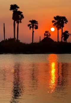 Sonnenuntergang am Rufiji River, Südtansania &copy; Foto: M. Riede / R. Kausen