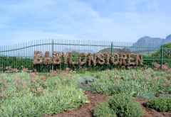 Babylonstoren Farm Hotel, Dekoration an der Einfahrt &copy; Foto: Doreen Krausche | Outback Africa