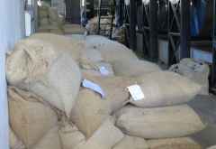 Kilimanjaro Plantation Ltd, Moshi &copy; Foto: S.Schlesinger