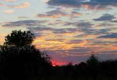 Sonnenaufgang im Chobe © Foto: Susanne Schlesinger | Outback Africa