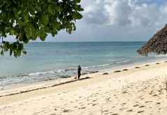 Das Seegras von der letzten Flut wird zusammengeharkt &copy; Foto: Svenja Penzel | Outback Africa