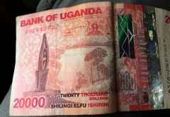 … ist ein so schönes Motiv, dass er einen Geldschein ziert. &copy; Foto: Svenja Penzel | Outback Africa