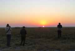 Zum Sonnenaufgang in der Nata Salzpfanne, Bird Sanctuary &copy; Foto: Susanne Schlesinger | Outback Africa