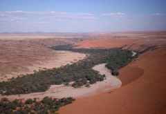 Ein Flusstal mit Bäumen &copy; Foto: Doreen Schütze | Outback Africa