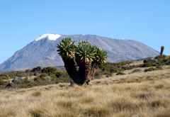 Marangu Route, Blick zum Kilmanjaro &copy; Foto: Christoph Flämig