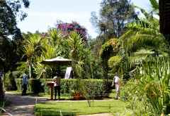 Karen Blixen Coffee Garden &copy; Foto: Susanne Schlesinger | Outback Africa