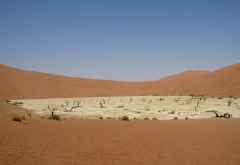Dead Vlei aus der Distanz &copy; Foto: Susanne Schlesinger | Outback Africa