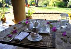 Afternoon Tea &copy; Foto: Svenja Penzel | Outback Africa