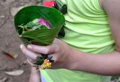 Ein Bananenblatt als Souvenirtüte. &copy; Foto: Marco Penzel | Outback Africa