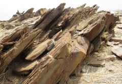 Schieferfelsformationen in der Namib &copy; Foto: Susanne Schlesinger | Outback Africa