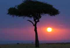 Farbenspiel bei Sonnenuntergang in der Massai Mara &copy; Foto: Judith Nasse | Outback Africa