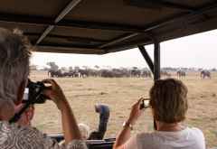 Auf Pirschfahrt in den Busanga Plains © Foto: Marco Penzel | Outback Africa