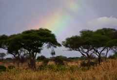 Regenbogen über dem Tarangire Nationalpark &copy; Foto: Judith Nasse | Outback Africa Erlebnisreisen
