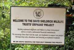 Schild am Eingang des Elefantenwaisenhauses im Nairobi NP &copy; Foto: Svenja Penzel | Outback Africa