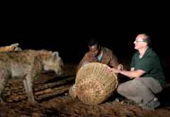 Hyänenfütterung in Harar, Äthiopien &copy; Foto: Outback Africa