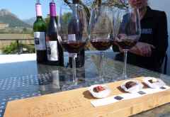 La Bri Weingut, Wein und Schokolade, Wine Tram Franschhoek &copy; Foto: Doreen Krausche | Outback Africa