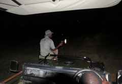 Nachtpirschfahrt im Liwonde Nationalpark, Mvuu Camp &copy; Foto: Susanne Schlesinger | Outback Africa