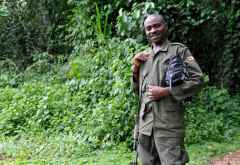 Ranger im Kibale Forest Nationalpark, Kibale Forest, Schimpansentrekking &copy; Foto: Svenja Penzel | Outback Africa