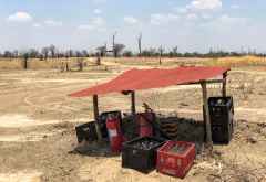 Am Mwaleshi Airstrip &copy; Foto: Marco Penzel | Outback Africa