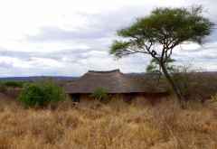 Little Olivers Camp, Zeltchalet, Tarangire Nationalpark &copy; Foto: Judith Nasse | Outback Africa Erlebnisreisen