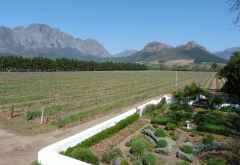 La Bri Weingut, Wine Tram Franschhoek &copy; Foto: Doreen Krausche | Outback Africa