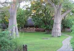 Mvuu Camp, Haupthaus &copy; Foto: Susanne Schlesinger | Outback Africa