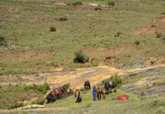 Lesotho, Ponytrekking &copy; Foto: Doreen Schütze | Outback Africa