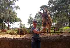 Giraffe Center, Nairobi &copy; Foto: Judith Nasse | Outback Africa