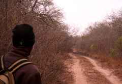 Hlane Royal Nationalpark &copy; Foto: Doreen Schütze | Outback Africa