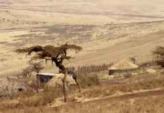 Massaidorf im Ngorongorohochland &copy; Foto: S.Schlesinger | Outback Africa