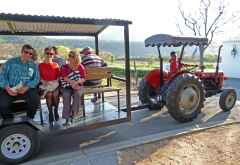 Grande Provence, per Traktor über das Anwesen, Wine Tram Franschhoek &copy; Foto: Doreen Krausche | Outback Africa