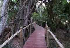 Holzstege zu den Chalets, Nxamaseri Island Lodge &copy; Foto: Susanne Schlesinger | Outback Africa